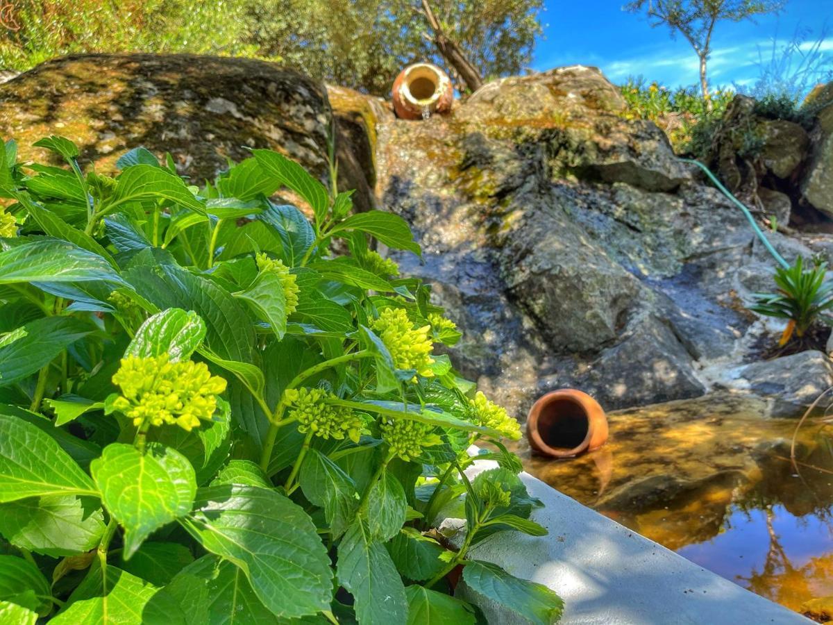 Casa Rico Frade Garden Hotel Sao Pedro do Corval ภายนอก รูปภาพ